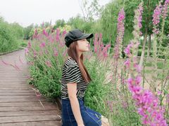 -西青郊野公园