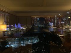 -新加坡丽思卡尔顿美年酒店