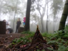 -西湖风景区十里琅珰-五云山