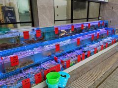水产区-洲晓鲜·舟山海鲜大排档(朱家尖风景区店)