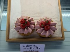 -猫里有甜