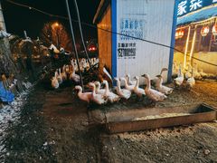 -鱼窝棚柴火铁锅炖(富山屯店)