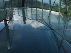 -云南屏边大围山国家公园