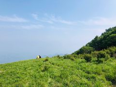 -白草畔自然风景区