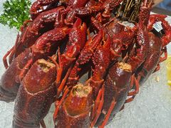 茶香冰镇龙虾-洪福龙虾