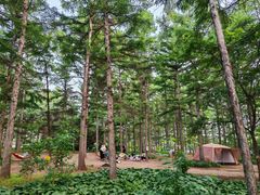 -长春市南湖公园