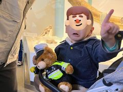 -国家自然博物馆