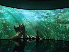 -中国湿地博物馆