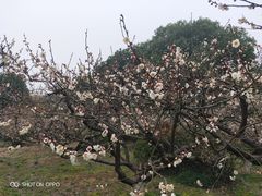 -白马涧龙池景区
