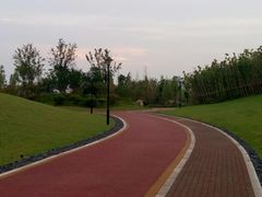 -九龙湖公园