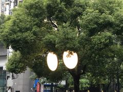 -瑞虹新天地月亮湾