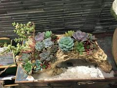 -苏州独墅湖书香世家酒店