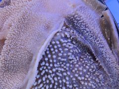 -热火朝天鲜切牛肉火锅(南强街巷店)