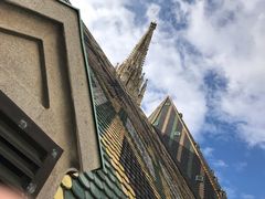 -斯蒂芬主教座堂(Stephansdom)