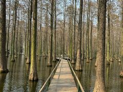 -渌洋湖湿地公园