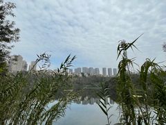 -重庆彩云湖湿地公园