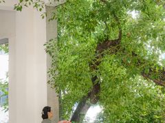 -湖北美术学院(昙华林校区)