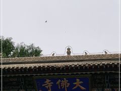 -张掖大佛寺景区