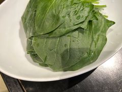 -浩爷羊蝎子火锅(望京店)