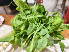 -海关荤豆花(洋河一路店)