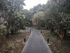 -周老三跷脚牛肉·全牛火锅(非遗传承店)