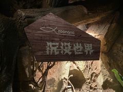 -zoonana室内动物园(东方福来德店)