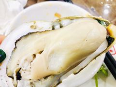 -蚝专家(北滘店)