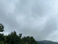 -广州市帽峰山景区