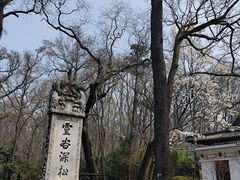 -灵谷景区