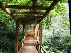 -大岭沟猕猴桃谷风景区