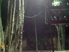 -龙达温泉生态城