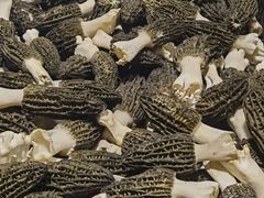 -鲜菌江湖正宗野生菌火锅