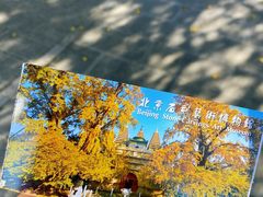 -北京石刻艺术博物馆(五塔寺)