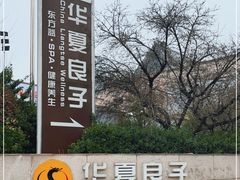 -华夏良子·足道SPA艾灸(山东大厦店)
