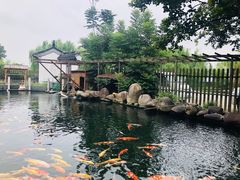 -湖鲜楼