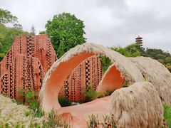 -深圳仙湖植物园