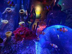 -沈阳海洋探索中心