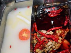 美蛙鸳鸯锅-重庆高老九火锅(文峰广场店)