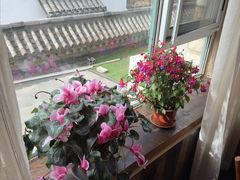 -慢丽江·云南野生菌土鸡锅(付家庄店)