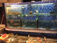 水产区-方记洪阳餐厅(福田新村店)