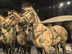 -秦始皇帝陵博物院-丽山园