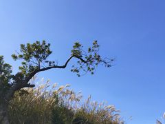 -军营村