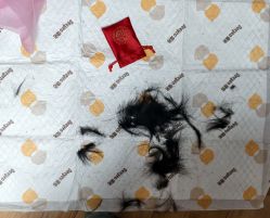 -上海小小宝婴儿理胎发胎毛笔