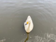 -秦皇岛野生动物园