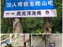 -鹿院坪生态旅游景区