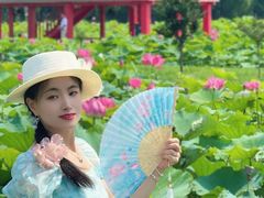 -嘉北郊野公园