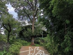 -黑龙潭风景区
