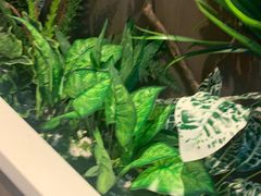 -纪林菜馆·博山菜老字号(华光路店)