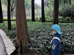 -晓港公园