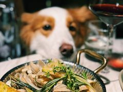 -the rug 飞毯 (朝阳公园店)